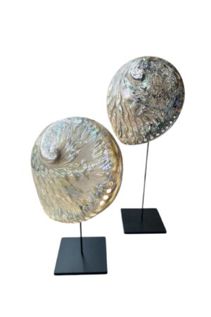 interieur-interieurstyling-kunstboeket-kunstbloemen-edelstenen-edelsteen-kristal-kristallen-hotelchique-interieur-interieurstyliste-gemstones-minerals-interiordesign-interior-interieur-accessoires-interieurdesign-chique-chiquewoonaccessoires-interieurstenen-edelstenen-bergkristal-woonaccessoires-woonwinkel-gelderland-bergkristal-hondenmand-hondenbed-boucle-hond-dogbed-vaas