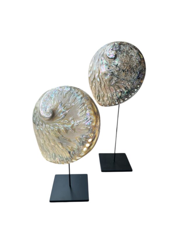 interieur-interieurstyling-kunstboeket-kunstbloemen-edelstenen-edelsteen-kristal-kristallen-hotelchique-interieur-interieurstyliste-gemstones-minerals-interiordesign-interior-interieur-accessoires-interieurdesign-chique-chiquewoonaccessoires-interieurstenen-edelstenen-bergkristal-woonaccessoires-woonwinkel-gelderland-bergkristal-hondenmand-hondenbed-boucle-hond-dogbed-vaas
