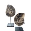 interieur-interieurstyling-kunstboeket-kunstbloemen-edelstenen-edelsteen-kristal-kristallen-hotelchique-interieur-interieurstyliste-gemstones-minerals-interiordesign-interior-interieur-accessoires-interieurdesign-chique-chiquewoonaccessoires-interieurstenen-edelstenen-bergkristal-woonaccessoires-woonwinkel-gelderland-bergkristal-hondenmand-hondenbed-boucle-hond-dogbed-vaas