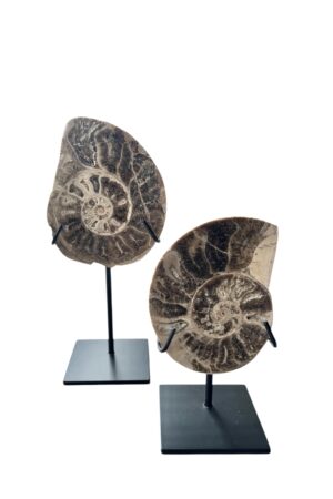 interieur-interieurstyling-kunstboeket-kunstbloemen-edelstenen-edelsteen-kristal-kristallen-hotelchique-interieur-interieurstyliste-gemstones-minerals-interiordesign-interior-interieur-accessoires-interieurdesign-chique-chiquewoonaccessoires-interieurstenen-edelstenen-bergkristal-woonaccessoires-woonwinkel-gelderland-bergkristal-hondenmand-hondenbed-boucle-hond-dogbed-vaas