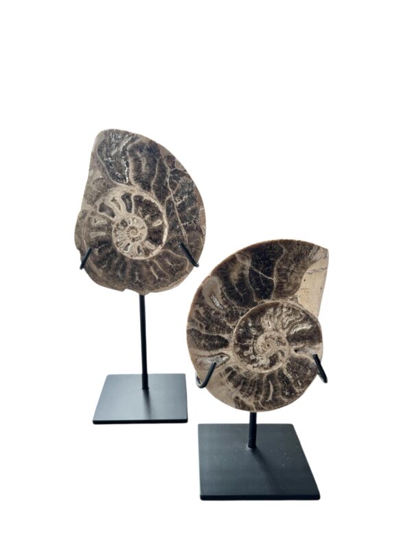 interieur-interieurstyling-kunstboeket-kunstbloemen-edelstenen-edelsteen-kristal-kristallen-hotelchique-interieur-interieurstyliste-gemstones-minerals-interiordesign-interior-interieur-accessoires-interieurdesign-chique-chiquewoonaccessoires-interieurstenen-edelstenen-bergkristal-woonaccessoires-woonwinkel-gelderland-bergkristal-hondenmand-hondenbed-boucle-hond-dogbed-vaas