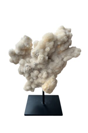 interieur-interieurstyling-kunstboeket-kunstbloemen-edelstenen-edelsteen-kristal-kristallen-hotelchique-interieur-interieurstyliste-gemstones-minerals-interiordesign-interior-interieur-accessoires-interieurdesign-chique-chiquewoonaccessoires-interieurstenen-edelstenen-bergkristal-woonaccessoires-woonwinkel-gelderland-bergkristal-hondenmand-hondenbed-boucle-hond-dogbed-vaas