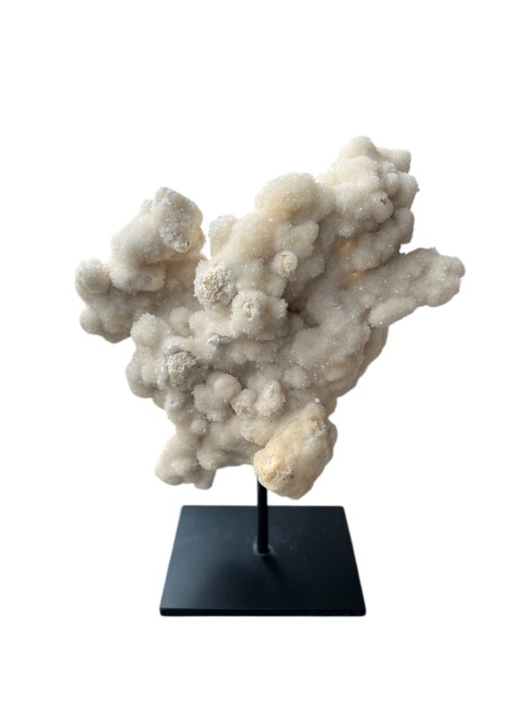 interieur-interieurstyling-kunstboeket-kunstbloemen-edelstenen-edelsteen-kristal-kristallen-hotelchique-interieur-interieurstyliste-gemstones-minerals-interiordesign-interior-interieur-accessoires-interieurdesign-chique-chiquewoonaccessoires-interieurstenen-edelstenen-bergkristal-woonaccessoires-woonwinkel-gelderland-bergkristal-hondenmand-hondenbed-boucle-hond-dogbed-vaas