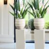 interieur-interieurstyling-kunstboeket-kunstbloemen-edelstenen-edelsteen-kristal-kristallen-hotelchique-interieur-interieurstyliste-gemstones-minerals-interiordesign-interior-interieur-accessoires-interieurdesign-chique-chiquewoonaccessoires-interieurstenen-edelstenen-bergkristal-woonaccessoires-woonwinkel-gelderland-bergkristal-hondenmand-hondenbed-boucle-hond-dogbed-vaas-potten-binnenpotten-buitenpotten-tuin-tuindecoratie-tuinpotten-beige