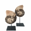 interieur-interieurstyling-kunstboeket-kunstbloemen-edelstenen-edelsteen-kristal-kristallen-hotelchique-interieur-interieurstyliste-gemstones-minerals-interiordesign-interior-interieur-accessoires-interieurdesign-chique-chiquewoonaccessoires-interieurstenen-edelstenen-bergkristal-woonaccessoires-woonwinkel-gelderland-bergkristal-hondenmand-hondenbed-boucle-hond-dogbed-vaas-potten-binnenpotten-buitenpotten-tuin-tuindecoratie-tuinpotten-beige