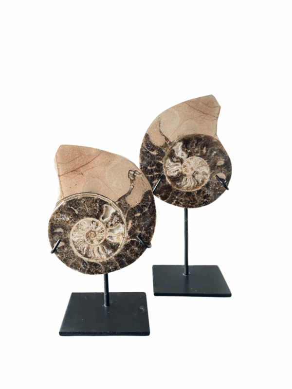 interieur-interieurstyling-kunstboeket-kunstbloemen-edelstenen-edelsteen-kristal-kristallen-hotelchique-interieur-interieurstyliste-gemstones-minerals-interiordesign-interior-interieur-accessoires-interieurdesign-chique-chiquewoonaccessoires-interieurstenen-edelstenen-bergkristal-woonaccessoires-woonwinkel-gelderland-bergkristal-hondenmand-hondenbed-boucle-hond-dogbed-vaas-potten-binnenpotten-buitenpotten-tuin-tuindecoratie-tuinpotten-beige