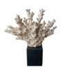 interieur-interieurstyling-kunstboeket-kunstbloemen-edelstenen-edelsteen-kristal-kristallen-hotelchique-interieur-interieurstyliste-gemstones-minerals-interiordesign-interior-interieur-accessoires-interieurdesign-chique-chiquewoonaccessoires-interieurstenen-edelstenen-bergkristal-woonaccessoires-woonwinkel-gelderland-bergkristal-hondenmand-hondenbed-boucle-hond-dogbed-vaas-potten-binnenpotten-buitenpotten-tuin-tuindecoratie-tuinpotten-beige