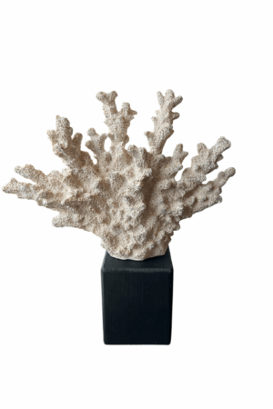 interieur-interieurstyling-kunstboeket-kunstbloemen-edelstenen-edelsteen-kristal-kristallen-hotelchique-interieur-interieurstyliste-gemstones-minerals-interiordesign-interior-interieur-accessoires-interieurdesign-chique-chiquewoonaccessoires-interieurstenen-edelstenen-bergkristal-woonaccessoires-woonwinkel-gelderland-bergkristal-hondenmand-hondenbed-boucle-hond-dogbed-vaas-potten-binnenpotten-buitenpotten-tuin-tuindecoratie-tuinpotten-beige