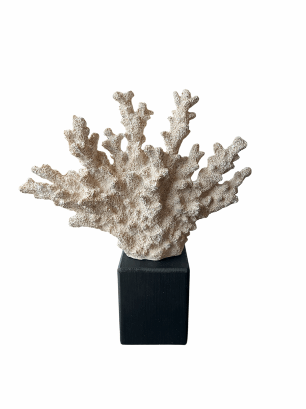 interieur-interieurstyling-kunstboeket-kunstbloemen-edelstenen-edelsteen-kristal-kristallen-hotelchique-interieur-interieurstyliste-gemstones-minerals-interiordesign-interior-interieur-accessoires-interieurdesign-chique-chiquewoonaccessoires-interieurstenen-edelstenen-bergkristal-woonaccessoires-woonwinkel-gelderland-bergkristal-hondenmand-hondenbed-boucle-hond-dogbed-vaas-potten-binnenpotten-buitenpotten-tuin-tuindecoratie-tuinpotten-beige