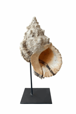 interieur-interieurstyling-kunstboeket-kunstbloemen-edelstenen-edelsteen-kristal-kristallen-hotelchique-interieur-interieurstyliste-gemstones-minerals-interiordesign-interior-interieur-accessoires-interieurdesign-chique-chiquewoonaccessoires-interieurstenen-edelstenen-bergkristal-woonaccessoires-woonwinkel-gelderland-bergkristal-hondenmand-hondenbed-boucle-hond-dogbed-vaas-potten-binnenpotten-buitenpotten-tuin-tuindecoratie-tuinpotten-beige