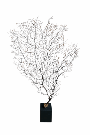 interieur-interieurstyling-kunstboeket-kunstbloemen-edelstenen-edelsteen-kristal-kristallen-hotelchique-interieur-interieurstyliste-gemstones-minerals-interiordesign-interior-interieur-accessoires-interieurdesign-chique-chiquewoonaccessoires-interieurstenen-edelstenen-bergkristal-woonaccessoires-woonwinkel-gelderland-bergkristal-hondenmand-hondenbed-boucle-hond-dogbed-vaas-potten-binnenpotten-buitenpotten-tuin-tuindecoratie-tuinpotten-beige