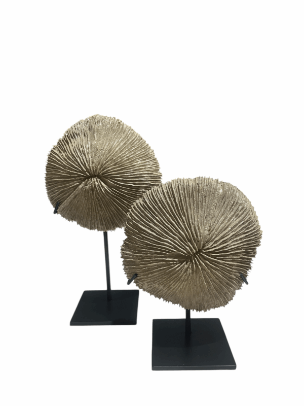 interieur-interieurstyling-kunstboeket-kunstbloemen-edelstenen-edelsteen-kristal-kristallen-hotelchique-interieur-interieurstyliste-gemstones-minerals-interiordesign-interior-interieur-accessoires-interieurdesign-chique-chiquewoonaccessoires-interieurstenen-edelstenen-bergkristal-woonaccessoires-woonwinkel-gelderland-bergkristal-hondenmand-hondenbed-boucle-hond-dogbed-vaas-potten-binnenpotten-buitenpotten-tuin-tuindecoratie-tuinpotten-beige