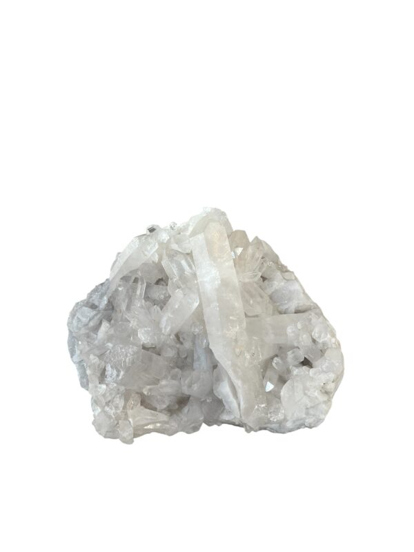 interieur-interieurstyling-kunstboeket-kunstbloemen-edelstenen-edelsteen-kristal-kristallen-hotelchique-interieur-interieurstyliste-gemstones-minerals-interiordesign-interior-interieur-accessoires-interieurdesign-chique-chiquewoonaccessoires-interieurstenen-edelstenen-bergkristal-woonaccessoires-woonwinkel-gelderland-bergkristal-hondenmand-hondenbed-boucle-hond-dogbed-vaas-potten-binnenpotten-buitenpotten-tuin-tuindecoratie-tuinpotten-beige