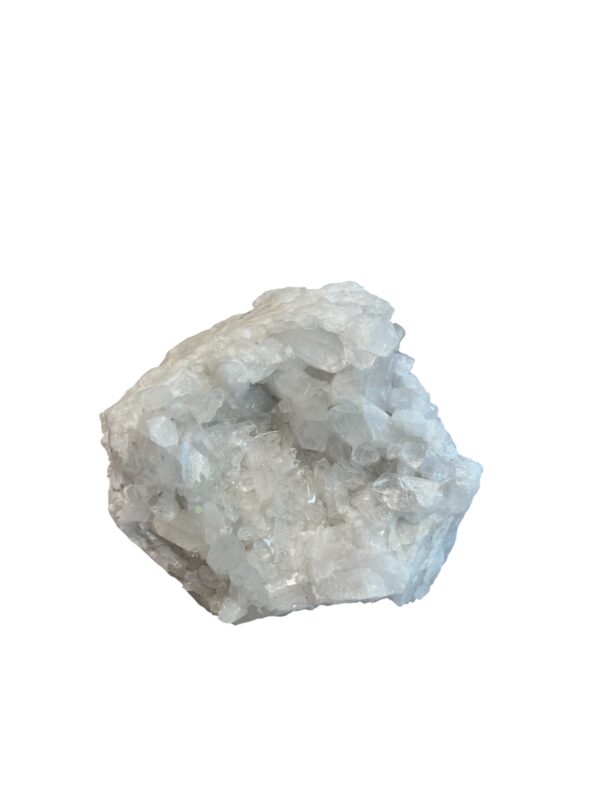 interieur-interieurstyling-kunstboeket-kunstbloemen-edelstenen-edelsteen-kristal-kristallen-hotelchique-interieur-interieurstyliste-gemstones-minerals-interiordesign-interior-interieur-accessoires-interieurdesign-chique-chiquewoonaccessoires-interieurstenen-edelstenen-bergkristal-woonaccessoires-woonwinkel-gelderland-bergkristal-hondenmand-hondenbed-boucle-hond-dogbed-vaas-potten-binnenpotten-buitenpotten-tuin-tuindecoratie-tuinpotten-beige