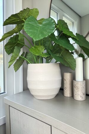 interieur-interieurstyling-kunstboeket-kunstbloemen-edelstenen-edelsteen-kristal-kristallen-hotelchique-interieur-interieurstyliste-gemstones-minerals-interiordesign-interior-interieur-accessoires-interieurdesign-chique-chiquewoonaccessoires-interieurstenen-edelstenen-bergkristal-woonaccessoires-woonwinkel-gelderland-bergkristal-hondenmand-hondenbed-boucle-hond-dogbed-vaas-potten-binnenpotten-buitenpotten-tuin-tuindecoratie-tuinpotten-beige