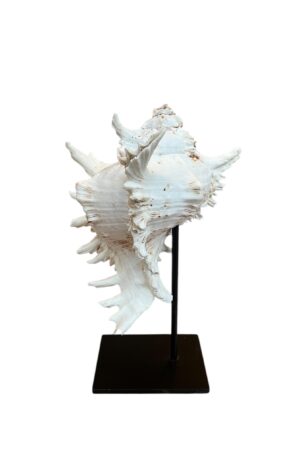 interieur-interieurstyling-kunstboeket-kunstbloemen-edelstenen-edelsteen-kristal-kristallen-hotelchique-interieur-interieurstyliste-gemstones-minerals-interiordesign-interior-interieur-accessoires-interieurdesign-chique-chiquewoonaccessoires-interieurstenen-edelstenen-bergkristal-woonaccessoires-woonwinkel-gelderland-bergkristal-hondenmand-hondenbed-boucle-hond-dogbed-vaas-potten-binnenpotten-buitenpotten-tuin-tuindecoratie-tuinpotten-beige