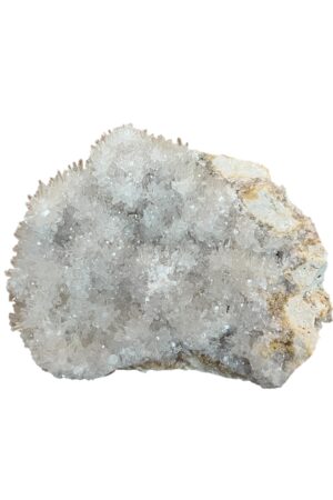 interieur-interieurstyling-kunstboeket-kunstbloemen-edelstenen-edelsteen-kristal-kristallen-hotelchique-interieur-interieurstyliste-gemstones-minerals-interiordesign-interior-interieur-accessoires-interieurdesign-chique-chiquewoonaccessoires-interieurstenen-edelstenen-bergkristal-woonaccessoires-woonwinkel-gelderland-bergkristal-hondenmand-hondenbed-boucle-hond-dogbed-vaas-potten-binnenpotten-buitenpotten-tuin-tuindecoratie-tuinpotten-beige