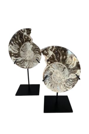 zijdenboeketten-zijdenboeket-interieur-interieurstyling-kunstboeket-kunstbloemen-edelstenen-edelsteen-kristal-kristallen-hotelchique-interieur-interieurstyliste-gemstones-minerals-interiordesign-interior-interieur-accessoires-interieurdesign-chique-chiquewoonaccessoires-interieurstenen-edelstenen-bergkristal-woonaccessoires-woonwinkel-gelderland-bergkristal-hondenmand-hondenbed-boucle-hond-dogbed-vaas-potten-binnenpotten-buitenpotten-tuin-tuindecoratie-tuinpotten-beige