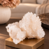 zijdenboeketten-zijdenboeket-interieur-interieurstyling-kunstboeket-kunstbloemen-edelstenen-edelsteen-kristal-kristallen-hotelchique-interieur-interieurstyliste-gemstones-minerals-interiordesign-interior-interieur-accessoires-interieurdesign-chique-chiquewoonaccessoires-interieurstenen-edelstenen-bergkristal-woonaccessoires-woonwinkel-gelderland-bergkristal-hondenmand-hondenbed-boucle-hond-dogbed-vaas-potten-binnenpotten-buitenpotten-tuin-tuindecoratie-tuinpotten-beige-bombyxx