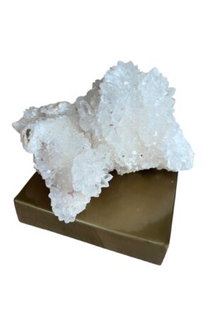 zijdenboeketten-zijdenboeket-interieur-interieurstyling-kunstboeket-kunstbloemen-edelstenen-edelsteen-kristal-kristallen-hotelchique-interieur-interieurstyliste-gemstones-minerals-interiordesign-interior-interieur-accessoires-interieurdesign-chique-chiquewoonaccessoires-interieurstenen-edelstenen-bergkristal-woonaccessoires-woonwinkel-gelderland-bergkristal-hondenmand-hondenbed-boucle-hond-dogbed-vaas-potten-binnenpotten-buitenpotten-tuin-tuindecoratie-tuinpotten-beige