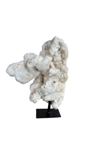 zijdenboeketten-zijdenboeket-interieur-interieurstyling-kunstboeket-kunstbloemen-edelstenen-edelsteen-kristal-kristallen-hotelchique-interieur-interieurstyliste-gemstones-minerals-interiordesign-interior-interieur-accessoires-interieurdesign-chique-chiquewoonaccessoires-interieurstenen-edelstenen-bergkristal-woonaccessoires-woonwinkel-gelderland-bergkristal-hondenmand-hondenbed-boucle-hond-dogbed-vaas-potten-binnenpotten-buitenpotten-tuin-tuindecoratie-tuinpotten-beige-bombyxx