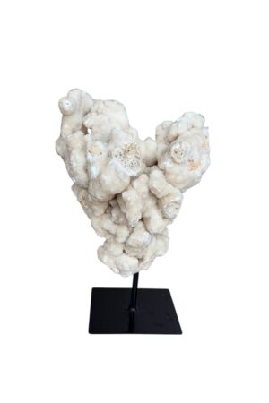 zijdenboeketten-zijdenboeket-interieur-interieurstyling-kunstboeket-kunstbloemen-edelstenen-edelsteen-kristal-kristallen-hotelchique-interieur-interieurstyliste-gemstones-minerals-interiordesign-interior-interieur-accessoires-interieurdesign-chique-chiquewoonaccessoires-interieurstenen-edelstenen-bergkristal-woonaccessoires-woonwinkel-gelderland-bergkristal-hondenmand-hondenbed-boucle-hond-dogbed-vaas-potten-binnenpotten-buitenpotten-tuin-tuindecoratie-tuinpotten-beige-bombyxx