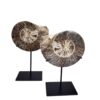 zijdenboeketten-zijdenboeket-interieur-interieurstyling-kunstboeket-kunstbloemen-edelstenen-edelsteen-kristal-kristallen-hotelchique-interieur-interieurstyliste-gemstones-minerals-interiordesign-interior-interieur-accessoires-interieurdesign-chique-chiquewoonaccessoires-interieurstenen-edelstenen-bergkristal-woonaccessoires-woonwinkel-gelderland-bergkristal-hondenmand-hondenbed-boucle-hond-dogbed-vaas-potten-binnenpotten-buitenpotten-tuin-tuindecoratie-tuinpotten-beige-bombyxx