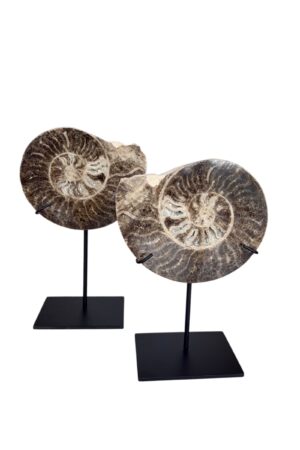 zijdenboeketten-zijdenboeket-interieur-interieurstyling-kunstboeket-kunstbloemen-edelstenen-edelsteen-kristal-kristallen-hotelchique-interieur-interieurstyliste-gemstones-minerals-interiordesign-interior-interieur-accessoires-interieurdesign-chique-chiquewoonaccessoires-interieurstenen-edelstenen-bergkristal-woonaccessoires-woonwinkel-gelderland-bergkristal-hondenmand-hondenbed-boucle-hond-dogbed-vaas-potten-binnenpotten-buitenpotten-tuin-tuindecoratie-tuinpotten-beige-bombyxx
