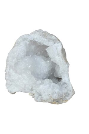 zijdenboeketten-zijdenboeket-interieur-interieurstyling-kunstboeket-kunstbloemen-edelstenen-edelsteen-kristal-kristallen-hotelchique-interieur-interieurstyliste-gemstones-minerals-interiordesign-interior-interieur-accessoires-interieurdesign-chique-chiquewoonaccessoires-interieurstenen-edelstenen-bergkristal-woonaccessoires-woonwinkel-gelderland-bergkristal-hondenmand-hondenbed-boucle-hond-dogbed-vaas-potten-binnenpotten-buitenpotten-tuin-tuindecoratie-tuinpotten-beige-bombyxx