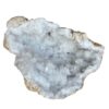 zijdenboeketten-zijdenboeket-interieur-interieurstyling-kunstboeket-kunstbloemen-edelstenen-edelsteen-kristal-kristallen-hotelchique-interieur-interieurstyliste-gemstones-minerals-interiordesign-interior-interieur-accessoires-interieurdesign-chique-chiquewoonaccessoires-interieurstenen-edelstenen-bergkristal-woonaccessoires-woonwinkel-gelderland-bergkristal-hondenmand-hondenbed-boucle-hond-dogbed-vaas-potten-binnenpotten-buitenpotten-tuin-tuindecoratie-tuinpotten-beige-bombyxx