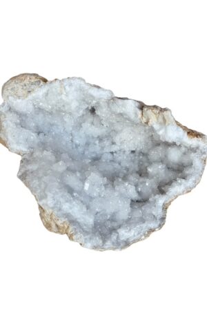 zijdenboeketten-zijdenboeket-interieur-interieurstyling-kunstboeket-kunstbloemen-edelstenen-edelsteen-kristal-kristallen-hotelchique-interieur-interieurstyliste-gemstones-minerals-interiordesign-interior-interieur-accessoires-interieurdesign-chique-chiquewoonaccessoires-interieurstenen-edelstenen-bergkristal-woonaccessoires-woonwinkel-gelderland-bergkristal-hondenmand-hondenbed-boucle-hond-dogbed-vaas-potten-binnenpotten-buitenpotten-tuin-tuindecoratie-tuinpotten-beige-bombyxx