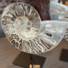 zijdenboeketten-zijdenboeket-interieur-interieurstyling-kunstboeket-kunstbloemen-edelstenen-edelsteen-kristal-kristallen-hotelchique-interieur-interieurstyliste-gemstones-minerals-interiordesign-interior-interieur-accessoires-interieurdesign-chique-chiquewoonaccessoires-interieurstenen-edelstenen-bergkristal-woonaccessoires-woonwinkel-gelderland-bergkristal-hondenmand-hondenbed-boucle-hond-dogbed-vaas-potten-binnenpotten-buitenpotten-tuin-tuindecoratie-tuinpotten-beige-bombyxx-fossiel-ammoniet