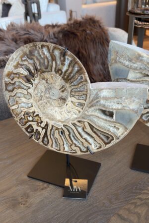 zijdenboeketten-zijdenboeket-interieur-interieurstyling-kunstboeket-kunstbloemen-edelstenen-edelsteen-kristal-kristallen-hotelchique-interieur-interieurstyliste-gemstones-minerals-interiordesign-interior-interieur-accessoires-interieurdesign-chique-chiquewoonaccessoires-interieurstenen-edelstenen-bergkristal-woonaccessoires-woonwinkel-gelderland-bergkristal-hondenmand-hondenbed-boucle-hond-dogbed-vaas-potten-binnenpotten-buitenpotten-tuin-tuindecoratie-tuinpotten-beige-bombyxx-fossiel-ammoniet