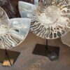 zijdenboeketten-zijdenboeket-interieur-interieurstyling-kunstboeket-kunstbloemen-edelstenen-edelsteen-kristal-kristallen-hotelchique-interieur-interieurstyliste-gemstones-minerals-interiordesign-interior-interieur-accessoires-interieurdesign-chique-chiquewoonaccessoires-interieurstenen-edelstenen-bergkristal-woonaccessoires-woonwinkel-gelderland-bergkristal-hondenmand-hondenbed-boucle-hond-dogbed-vaas-potten-binnenpotten-buitenpotten-tuin-tuindecoratie-tuinpotten-beige-bombyxx-fossiel-ammoniet
