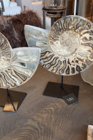 zijdenboeketten-zijdenboeket-interieur-interieurstyling-kunstboeket-kunstbloemen-edelstenen-edelsteen-kristal-kristallen-hotelchique-interieur-interieurstyliste-gemstones-minerals-interiordesign-interior-interieur-accessoires-interieurdesign-chique-chiquewoonaccessoires-interieurstenen-edelstenen-bergkristal-woonaccessoires-woonwinkel-gelderland-bergkristal-hondenmand-hondenbed-boucle-hond-dogbed-vaas-potten-binnenpotten-buitenpotten-tuin-tuindecoratie-tuinpotten-beige-bombyxx-fossiel-ammoniet